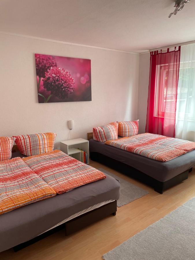 Fewo Zakharov Lahr/Schwarzwald Extérieur photo