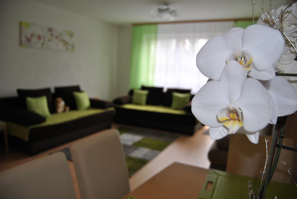 Fewo Zakharov Lahr/Schwarzwald Extérieur photo